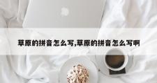 草原的拼音怎么写,草原的拼音怎么写啊