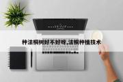 种法桐树好不好呀,法桐种植技术