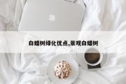 白蜡树绿化优点,景观白蜡树