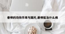 垂柳的功效作用与图片,垂柳能治什么病