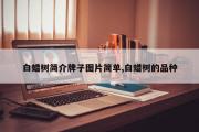 白蜡树简介牌子图片简单,白蜡树的品种