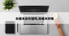 白蜡木会升值吗,白蜡木好嘛