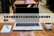 北美白蜡木属于什么档次的实木,北美白蜡木图片