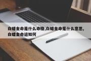 白蜡金命是什么命格,白蜡金命是什么意思,白蜡金命运如何
