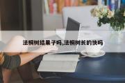 法桐树结果子吗,法桐树长的快吗