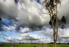 白蜡木做床的害处，哪种实木床最好而又实用