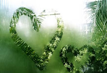 白蜡木做床的害处，哪种实木床最好而又实用