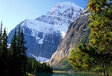 白蜡木做床的害处，哪种实木床最好而又实用