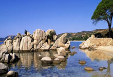 白蜡木做床的害处，哪种实木床更好而又实用