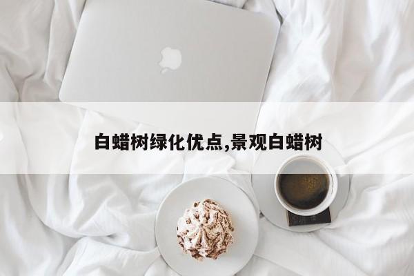 白蜡树绿化优点,景观白蜡树